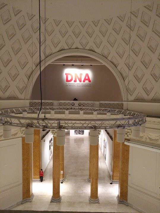 Mostra Dna Palazzo delle Esposizioni