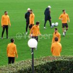 Trigoria torello