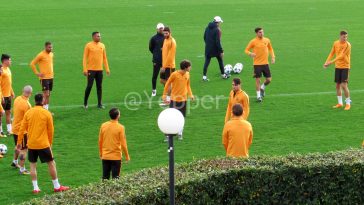 Trigoria torello