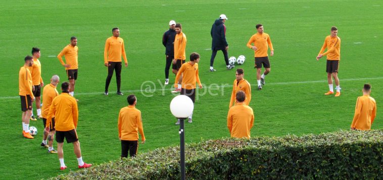 Trigoria torello