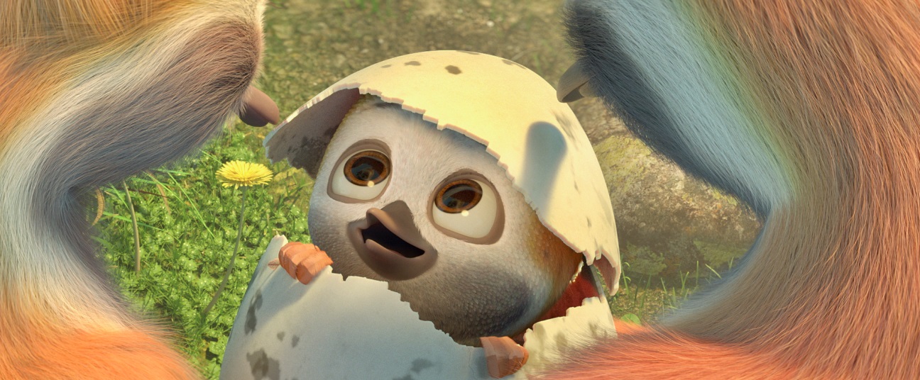 Ploi