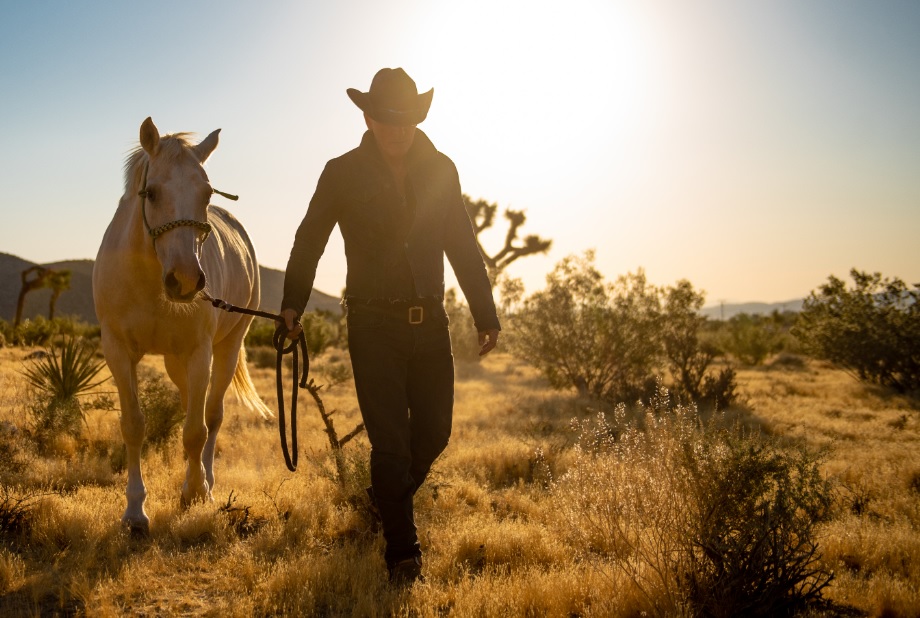 WESTERN STARS