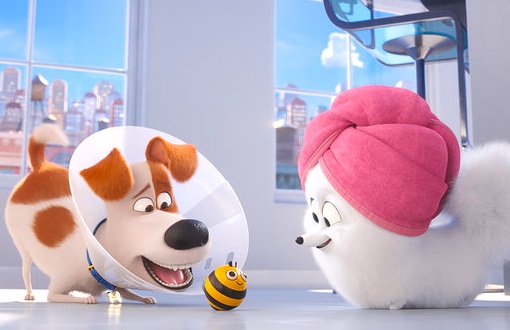 Pets 2
