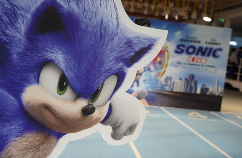 Sonic vs Tortu
